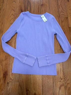 Aerie Lilac Ribbed Long Sleeve Top